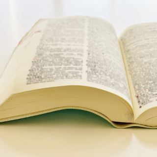 Pro Labo的共同語言